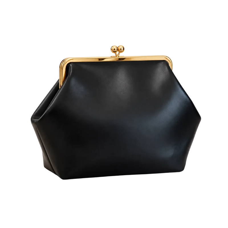 Elegant Black Clutch With Golden Clasp-1