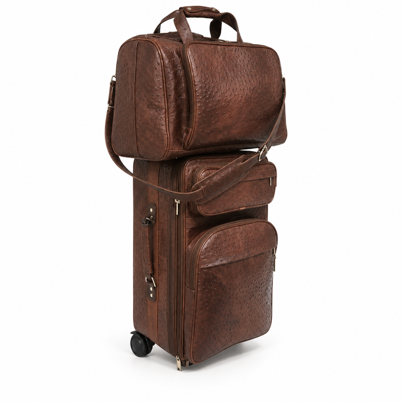 Coffee Brown Textured Rolling Luggage Set-1