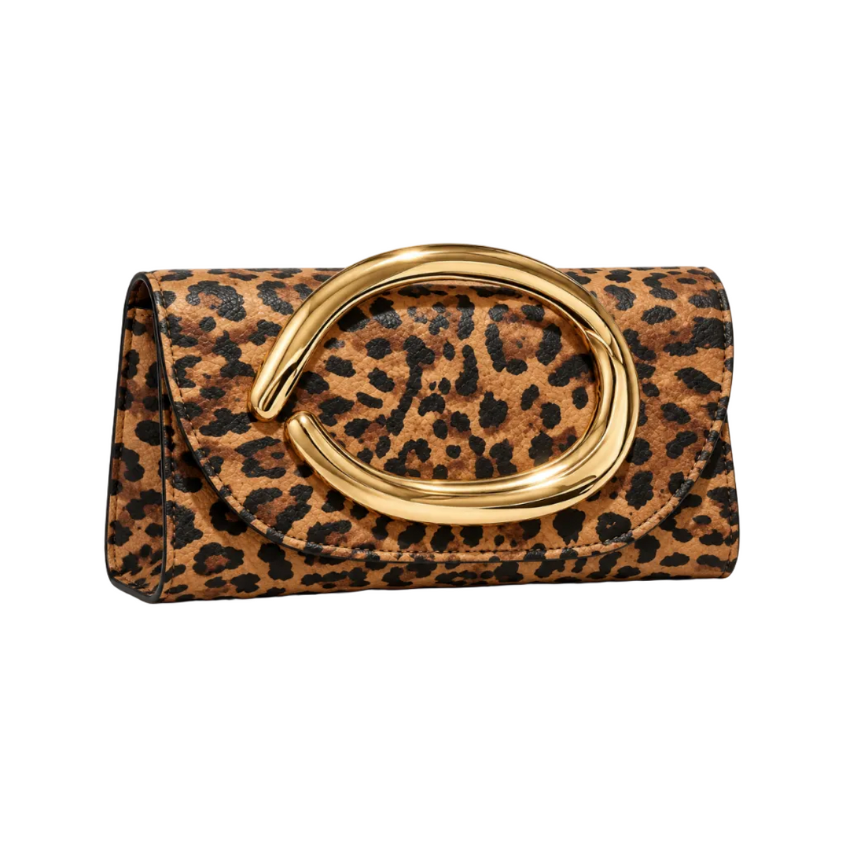 Leopard Print Clutch With Golden Handle-1